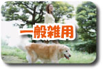一般雑用